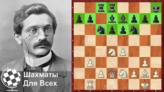 Шахматы. Эммануил Ласкер. Знаменитая ЖЕРТВА ФЕРЗЯ второго Чемпиона Мира!