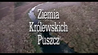 Ziemia królewskich puszcz