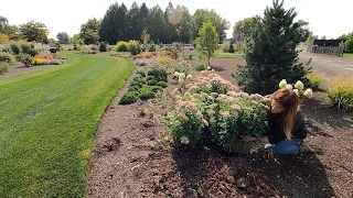 New Tree Load, Transplanting a Ton of Plants & Picking a Volunteer Watermelon! 🌳🙌🍉 // Garden Answer