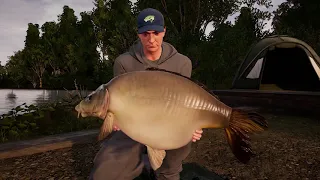 Fishing Sim World Launch Trailer