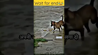 new viral video #dogs 🐶🐶#fanny viral video#fanny #short  fanny😅 video @banti0012  #fanny