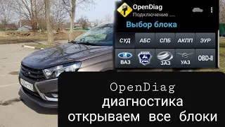 Диагностика автомобиля. OpenDiag открываем блоки.