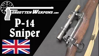 Pattern 14 MKI W (T) - The Best Sniper Rifle of World War One
