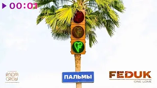 Feduk | Пальмы