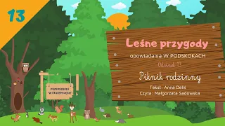 LEŚNE PRZYGODY - opowiadania W PODSKOKACH odc. 13 "Piknik rodzinny" AUDIOBOOK |  LATO