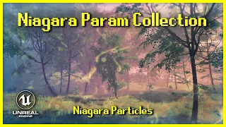 Niagara Parameter Collection [UE5]