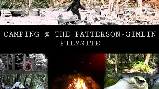 Camping at the PATTERSON-GIMLIN Filmsite! An Adventure in BIGFOOT Country