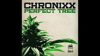 Chronixx - Perfect Tree 432hz