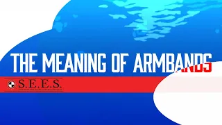 Persona 3 Reload - Meaning of the Armbands (Mosq Remix)