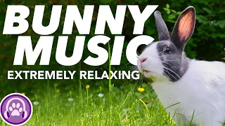 Music for Rabbits - EXTREME RELAXATION - Soothing Melodies (8Hours)