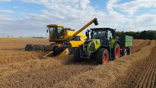 Żniwa 2020 Jęczmień ozimy 8t/ha Claas New Holland GR POKOJSCY