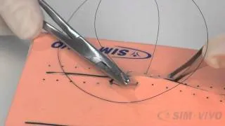 SIM SUTURE - 5. Running Simple Sutures