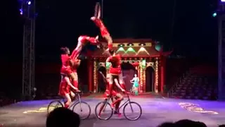 Chinese circus. The show of girl gymnasts on bicycles. Китайский цирк.