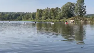 Соревнования по гребле на байдарках среди ветеранов гребного спорта