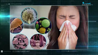 Об аллергии – врачи "Энергии здоровья" в программе "Главный врач" на канале "Санкт-Петербург"