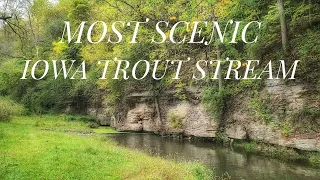 Buck Creek - Iowa Driftless Trout Fishing (Flyfishing the MOST SCENIC Trout Stream in Iowa)