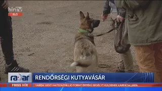 Radar - Rendőrségi kutyavásár (2022-03-01) - HÍR TV