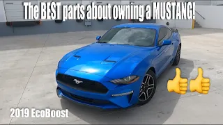 5 Things I LOVE about my 2019 Mustang EcoBoost! | POV Drive