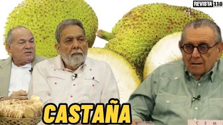 Le explican todo a Julito Hazim sobre la castaña en RD