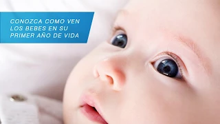 Como ven los bebes en su primer año de vida