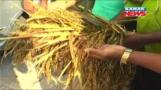 Damodar Rout Slams Complaining Farmers