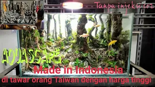 How to make a jungle style aquascape theme (from nature, low budget)