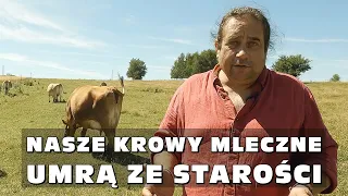 „Nasze krowy mleczne umrą ze starości” - Wycieczka po gospodarstwie Dębnik 52, Małopolska