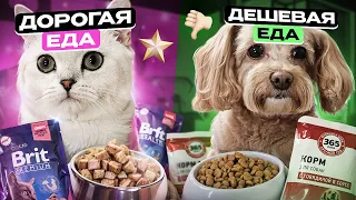 ЧЕЛЛЕНДЖ  БЕЛКА С НЮШЕЙ ПРОБУЮТ ДЕШЕВУЮ И ДОРОГУЮ ЕДУ/ЛАЙКИ lIKE#cat