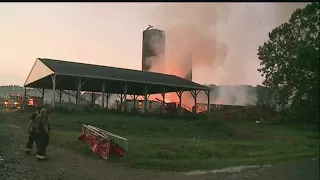 Over 100 cows lost in Mercer County barn fire