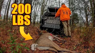 Deer Hunting Big Buck Late Season After Storms