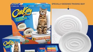 Citi Kitty toilet train your kitten or cat no more litter yay second hole cut