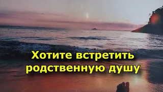 Хотите встретить родственную душу, начните делать эти пять вещей