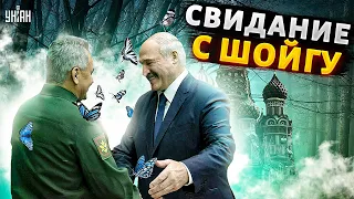 Лукашенко устроил свидание с Шойгу и сделал жирный намек - Цимбалюк