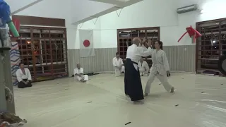 Yokomenuchi - Aikido keiko