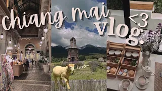 chiang mai, thailand 泰国清迈 🇹🇭🗺️ EP.1 | sheep farm 🐑 *cute*, aesthetic hotel 💅🏻, food 🍱 , etc🤍