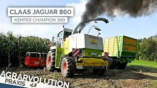 Harvesting corn silage with a Claas Jaguar 860 Overdrive • LU Peter Kircher | Agrarvolution Praxis