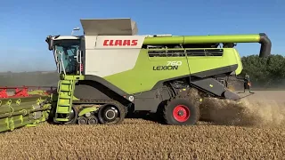 CLAAS Lexion 760 TT Combine Harvester - Wheat Harvest 2021