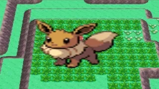 How to find Eevee in Pokemon Diamond and Pearl