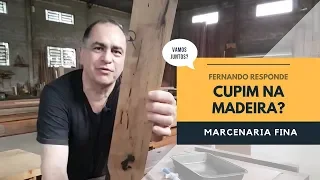 Cupim na madeira: o que fazer? Fernando responde.