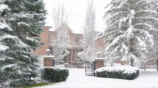 Winter Snow Storm Walk in Winter Forest and Cozy Homes in Toronto suburb - Snowfall Sound Ambience