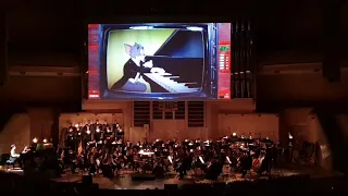 Sergeta Dariya plays the Cat Concerto - Tom and Jerry - Hungarian Rhapsody No.2 by Franz Liszt