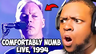 THIS WAS BEAUTIFUL!!! | Pink Floyd - Comfortably Numb (Pulse Concert) REACTION!!