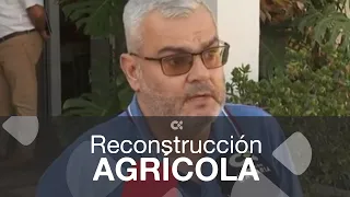 Reconstrucción agrícola en La Palma