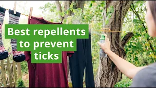 Best Tick Repellents | How Permethrin Can Help Repel Ticks and Prevent Tick Bites