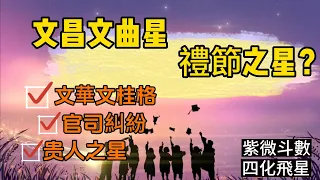 EP45 【紫微斗数基础】【星曜篇（七）】文昌文曲星，礼节之星？#宣如心所愿xuanwish #算命 #紫微斗数 #四化飞星