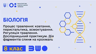 8 клас. Біологія. Дослідницький практикум. Дія ферментів слини на крохмаль