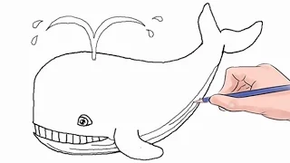 How to Draw a Whale Easy Step by Step