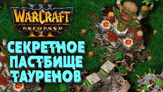 СЕКРЕТНОЕ ПАСТБИЩЕ ТАУРЕНОВ: Hawk (Hum) vs TGW (Orc) Warcraft 3 Reforged