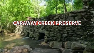 Hike And Seek At The Caraway Creek Preserve