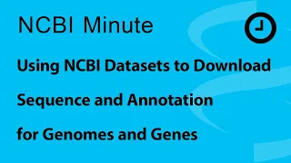 NCBI Minute: Using NCBI Datasets for Downloading Sequence and Annotation for Genomes and Genes